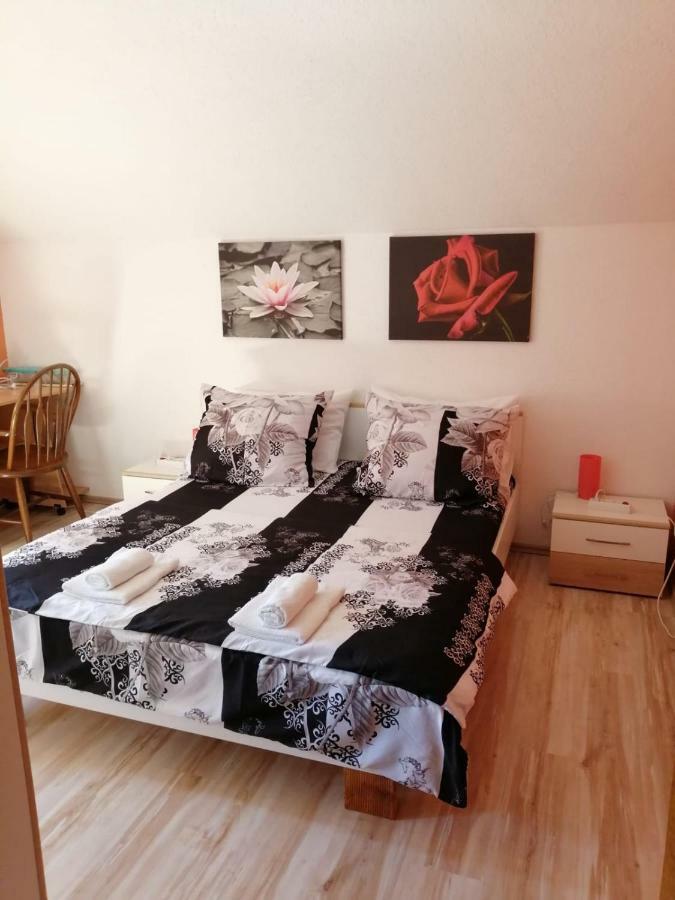 Apartman Franjicic Korenica Zewnętrze zdjęcie